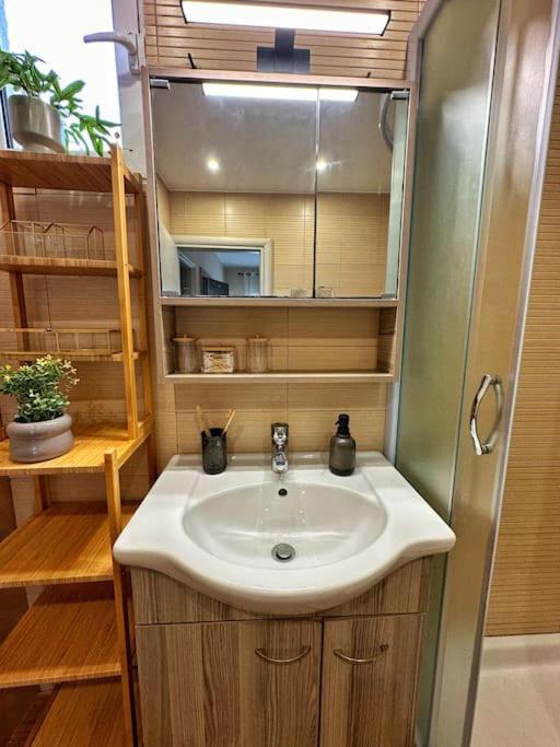 Filoxenia City Apartment Zakintos Dış mekan fotoğraf